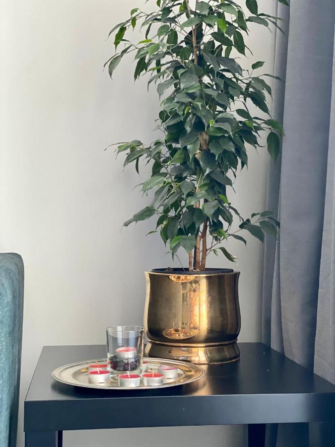 Apartament Z Widokiem Na Kazimierz/Forum Przestrzenie Apartment Krakow Luaran gambar